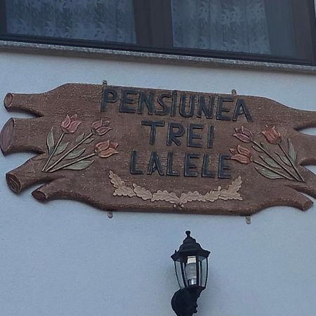 Pensiunea Trei Lalele Moisei Buitenkant foto