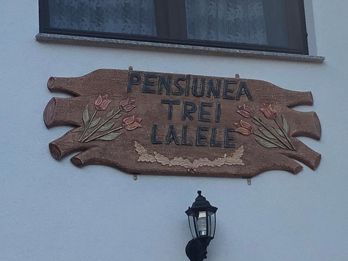 Pensiunea Trei Lalele Moisei Buitenkant foto