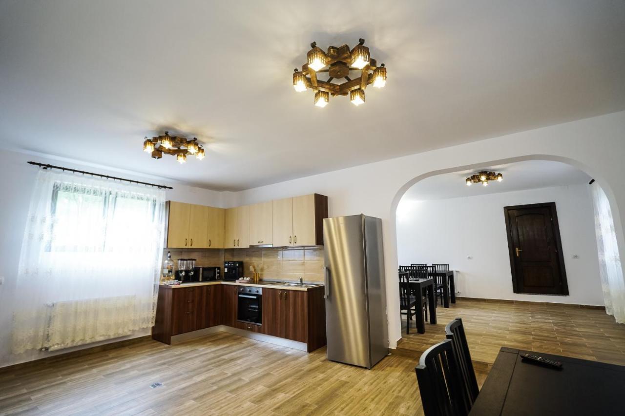 Pensiunea Trei Lalele Moisei Buitenkant foto