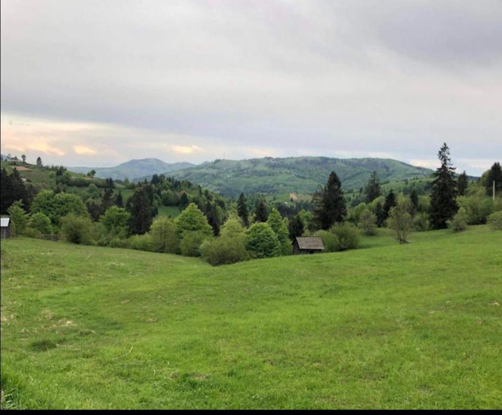 Pensiunea Trei Lalele Moisei Buitenkant foto