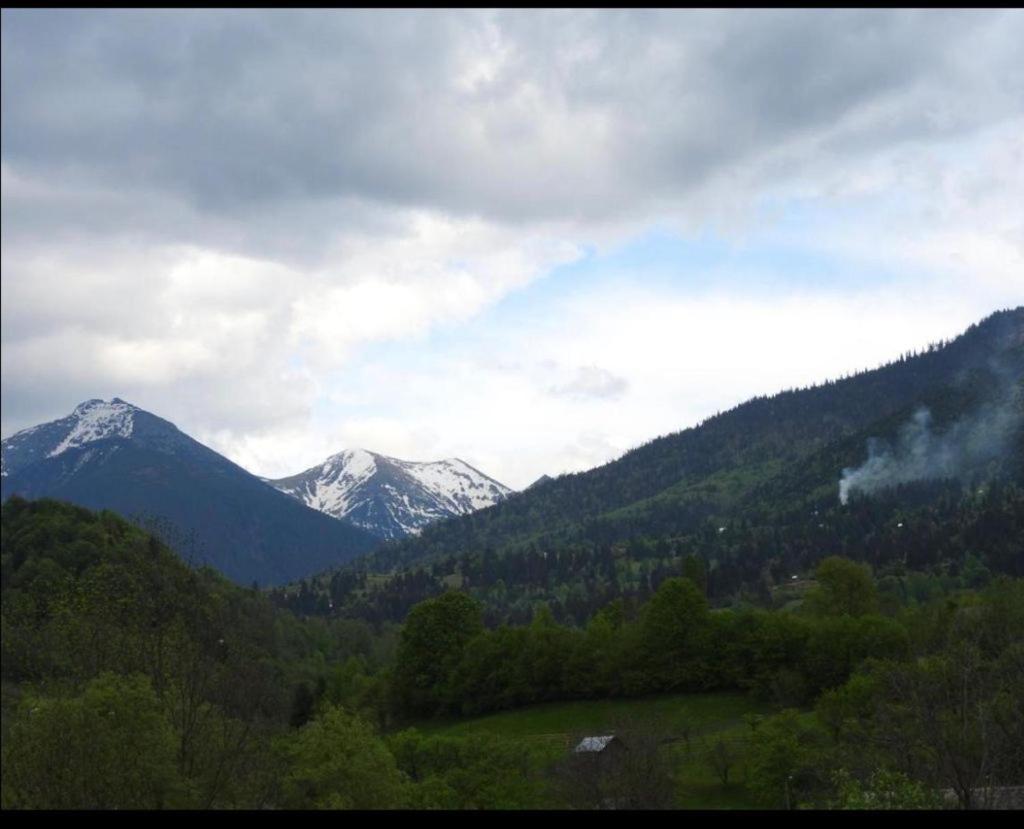 Pensiunea Trei Lalele Moisei Buitenkant foto