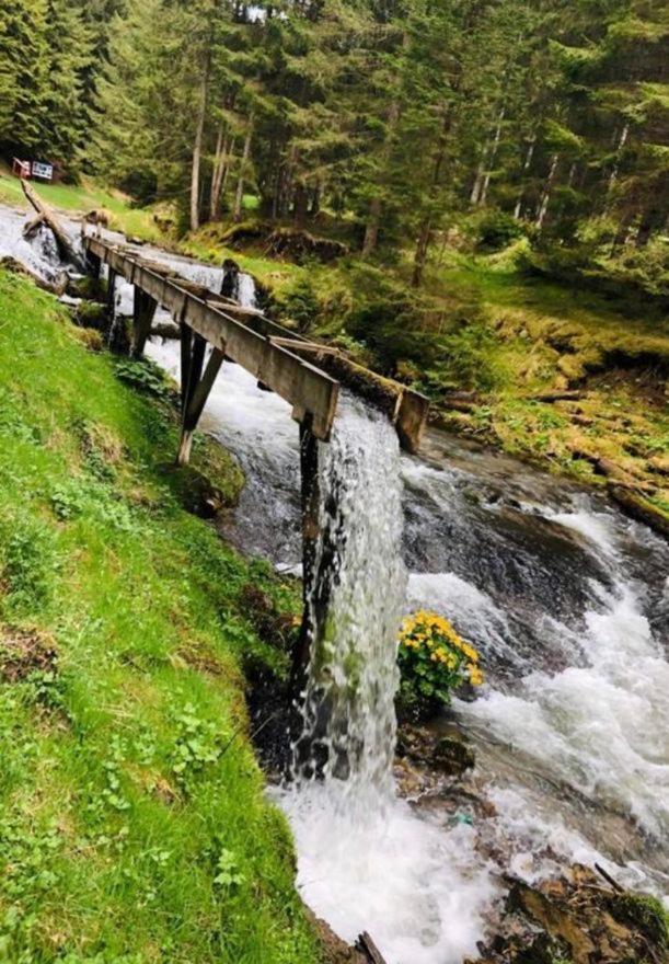 Pensiunea Trei Lalele Moisei Buitenkant foto