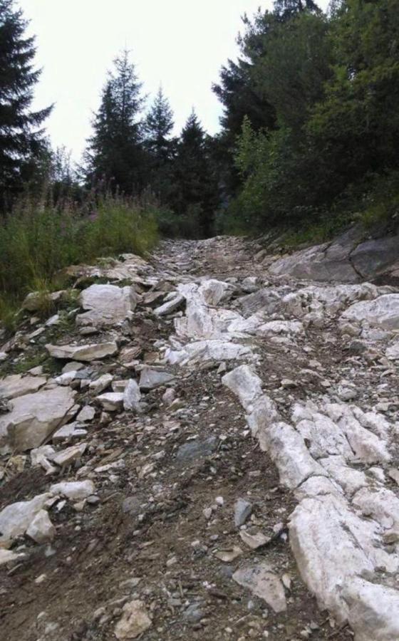 Pensiunea Trei Lalele Moisei Buitenkant foto